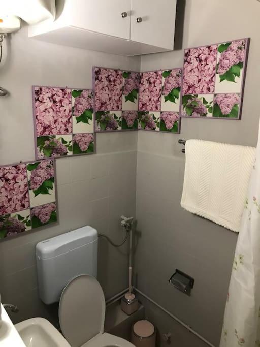 Cosy Apartment In City Centre Ιωάννινα Εξωτερικό φωτογραφία